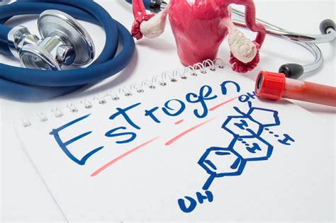 östrojen hormonu nedir ne işe yarar